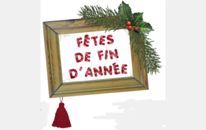 LE 20 DECEMBRE : TOURNOI & REPAS DE NOËL A L'AOSP