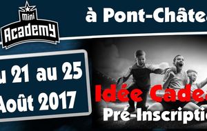 UNE IDEE CADEAU POUR NOËL