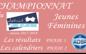 LES CALENDRIERS FEMININS