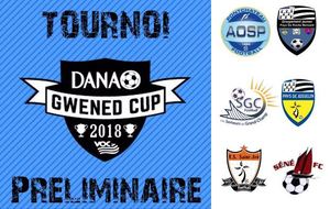 LES U12 EN PRELIMINAIRE DE LA DANAO Gwened Cup