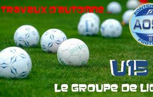 LE GROUPE U15M EN R2 LIGUE