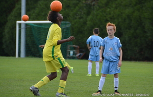 59d17451337c8_03DSC5723.JPG