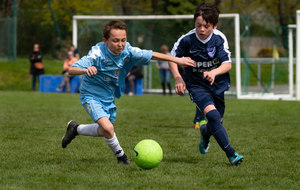 5adafad94a0fc_DSC0077.jpg