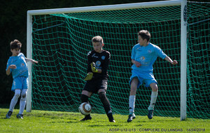 5adafb716e80f_DSC0415.jpg
