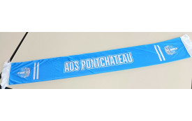 Echarpe du supporter