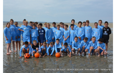 L'EDF SUR LES PLAGES DE PONT-MAHE