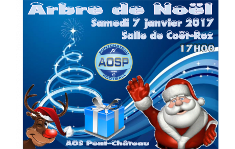 L'ARBRE DE NOËL EN JANVIER
