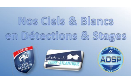 ET LES VACANCES ... (DETECTIONS - ACTE I)