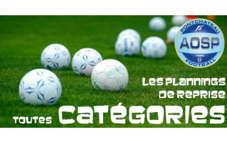 LES PLANNINGS DE REPRISE A L'AOSP