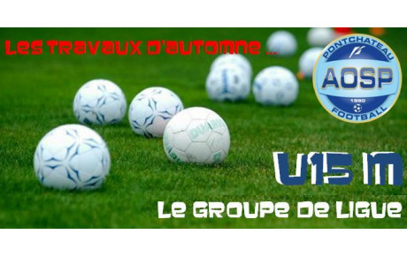 LE GROUPE U15M EN R2 LIGUE