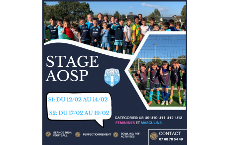 [𝗦𝗧𝗔𝗚𝗘𝗦 𝗔𝗢𝗦𝗣: 𝗜𝗡𝗦𝗖𝗥𝗜𝗣𝗧𝗜𝗢𝗡 𝗢𝗨𝗩𝗘𝗥𝗧𝗘]  